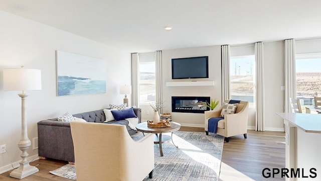 living room featuring hardwood / wood-style flooring