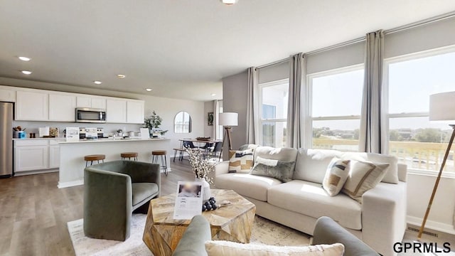 living room featuring light hardwood / wood-style floors