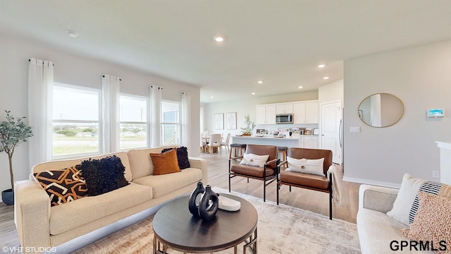 living room featuring light wood-type flooring