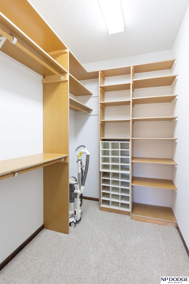 walk in closet with carpet flooring