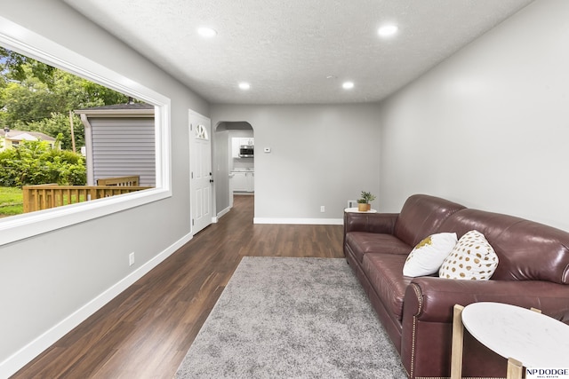 living room featuring dark hardwood / wood-style flooring and a textured ceiling