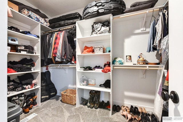 spacious closet featuring carpet floors