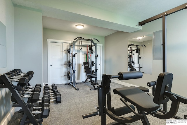 exercise room with carpet flooring