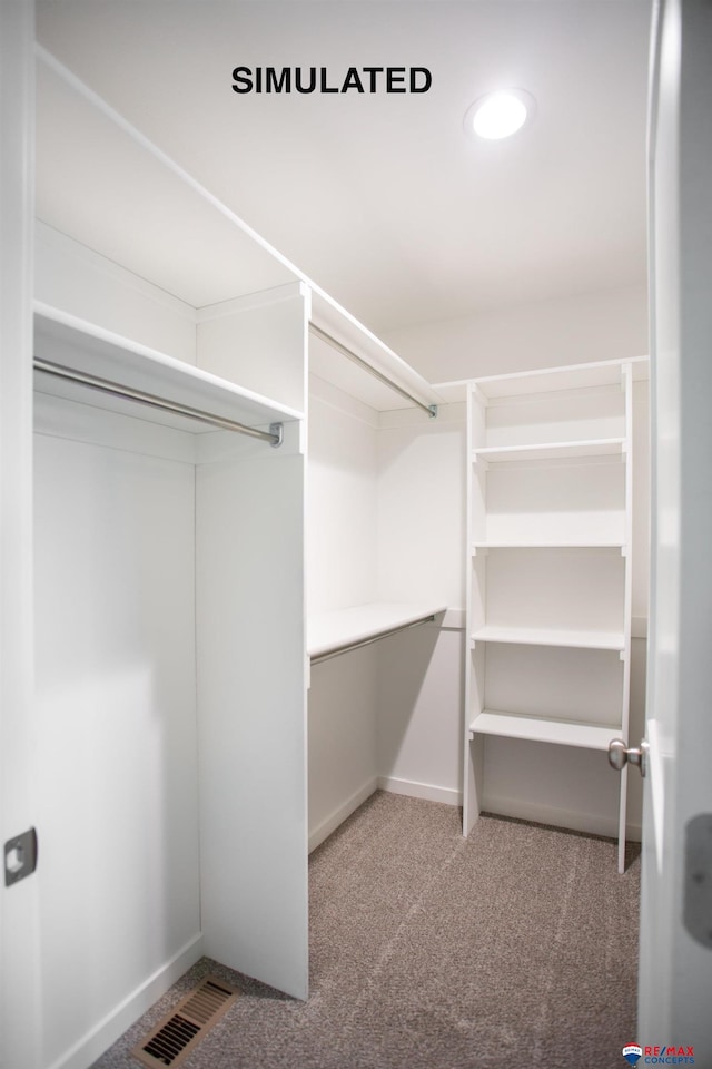 spacious closet featuring carpet flooring