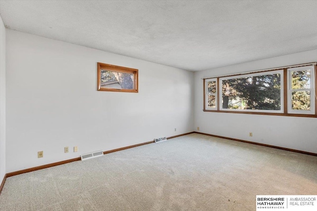 unfurnished room with a textured ceiling, light colored carpet, and a wealth of natural light