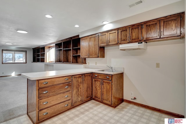 kitchen featuring light colored carpet, kitchen peninsula, and sink