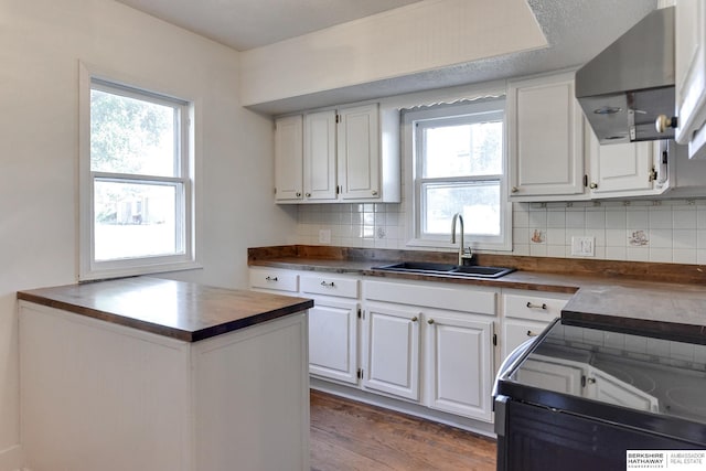 kitchen with white cabinets, plenty of natural light, dark hardwood / wood-style flooring, and ventilation hood