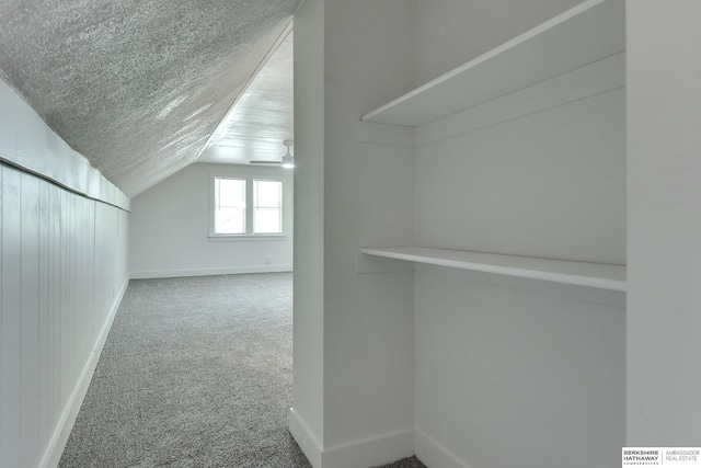 additional living space with carpet floors, a textured ceiling, and vaulted ceiling