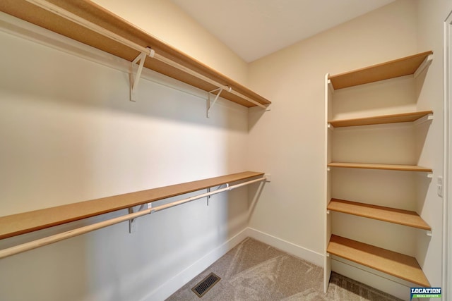 walk in closet featuring carpet floors