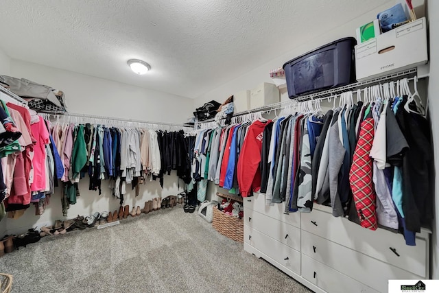 spacious closet featuring carpet