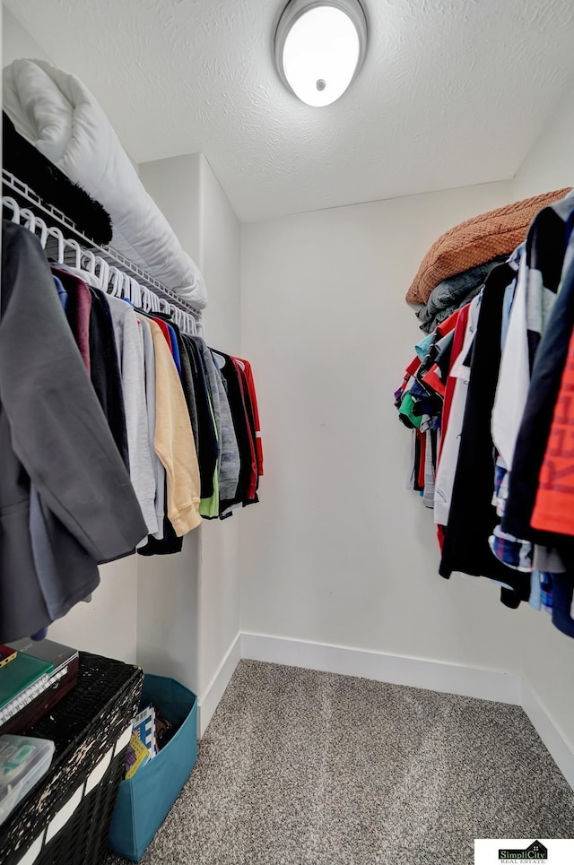 spacious closet with carpet floors