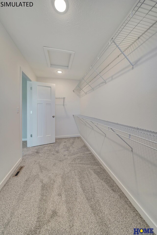 walk in closet with carpet floors