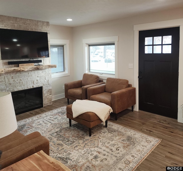 living room featuring a fireplace and wood-type flooring