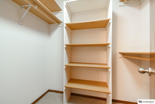 walk in closet with carpet floors