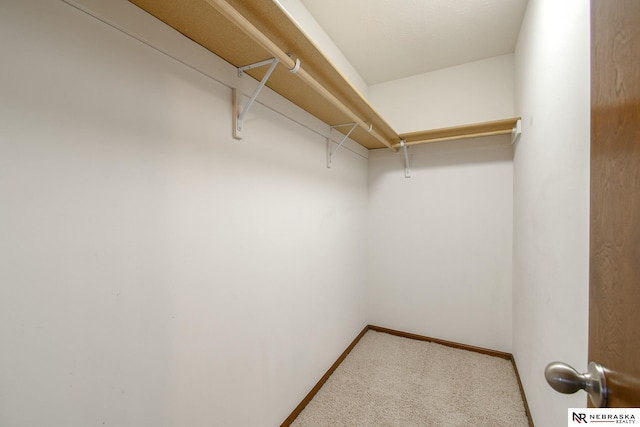 walk in closet featuring carpet flooring