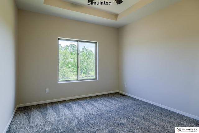 empty room featuring a tray ceiling and carpet flooring