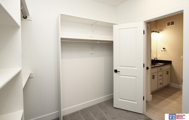 spacious closet featuring sink and light hardwood / wood-style floors