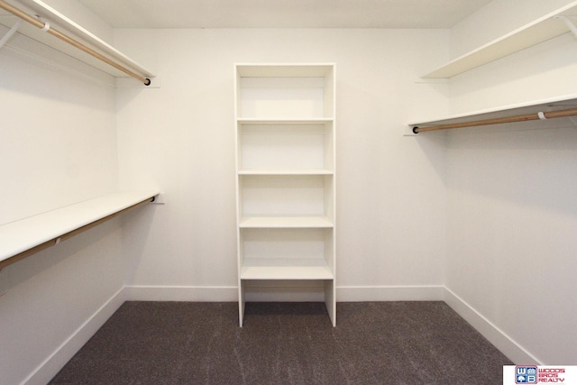 spacious closet featuring dark colored carpet