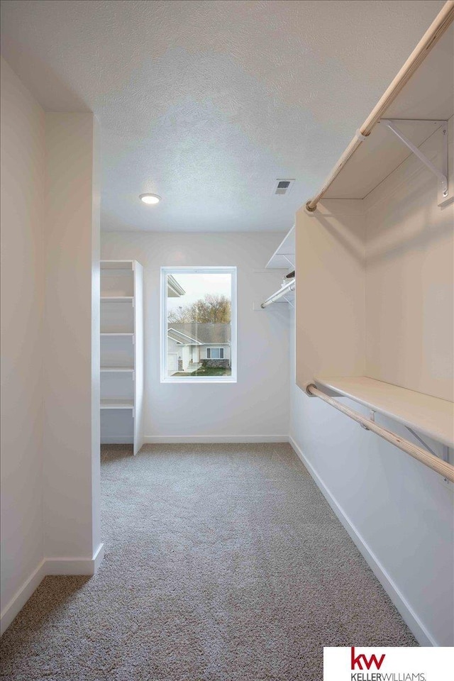 walk in closet with carpet