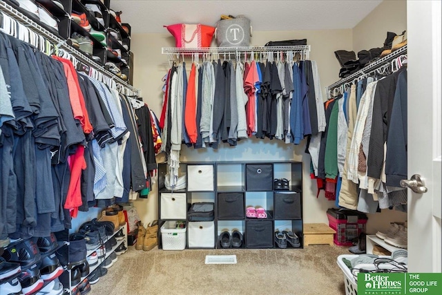 spacious closet featuring carpet flooring