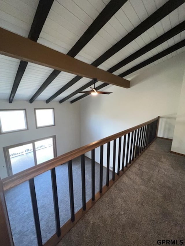 corridor featuring carpet flooring, a towering ceiling, and beamed ceiling