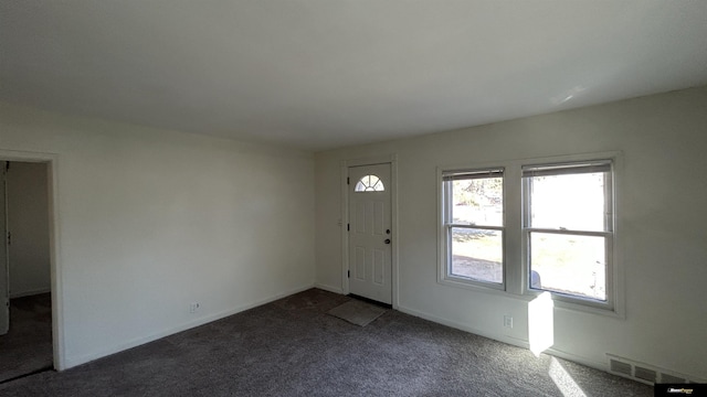 carpeted foyer with a wealth of natural light