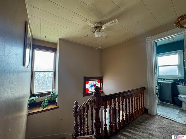 staircase with carpet and ceiling fan