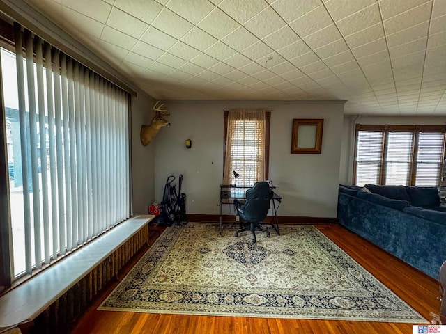 interior space with dark wood-type flooring and a healthy amount of sunlight