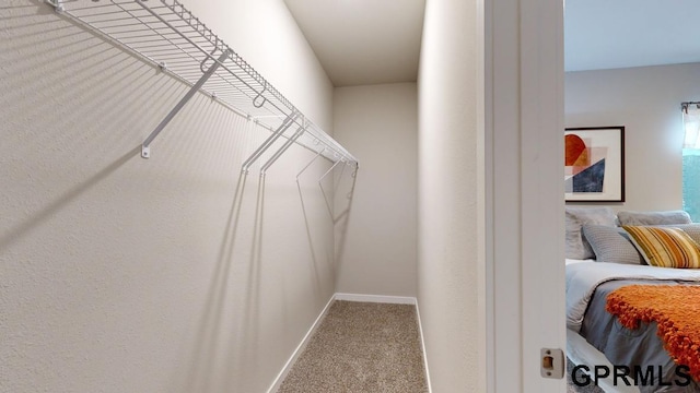 spacious closet with light colored carpet