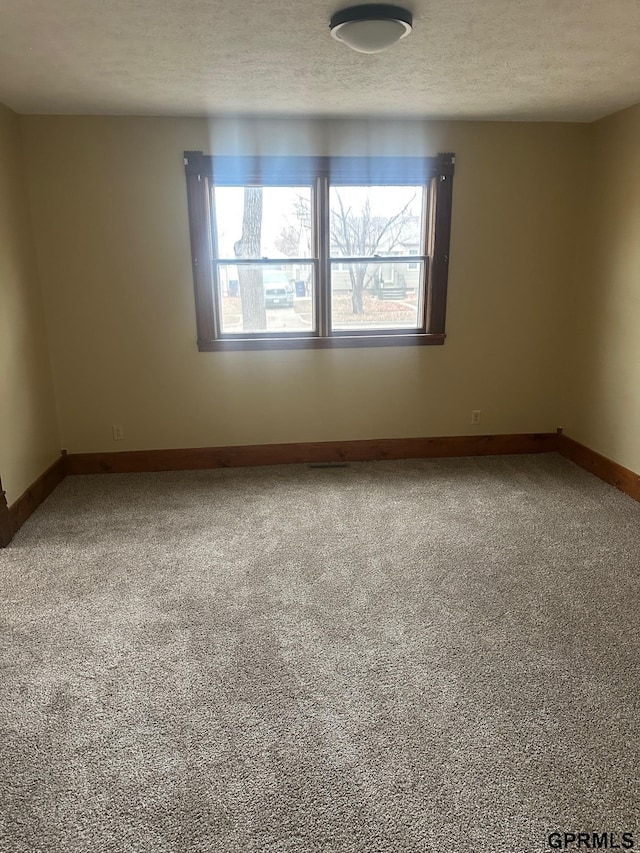 spare room featuring carpet flooring, a wealth of natural light, and a textured ceiling