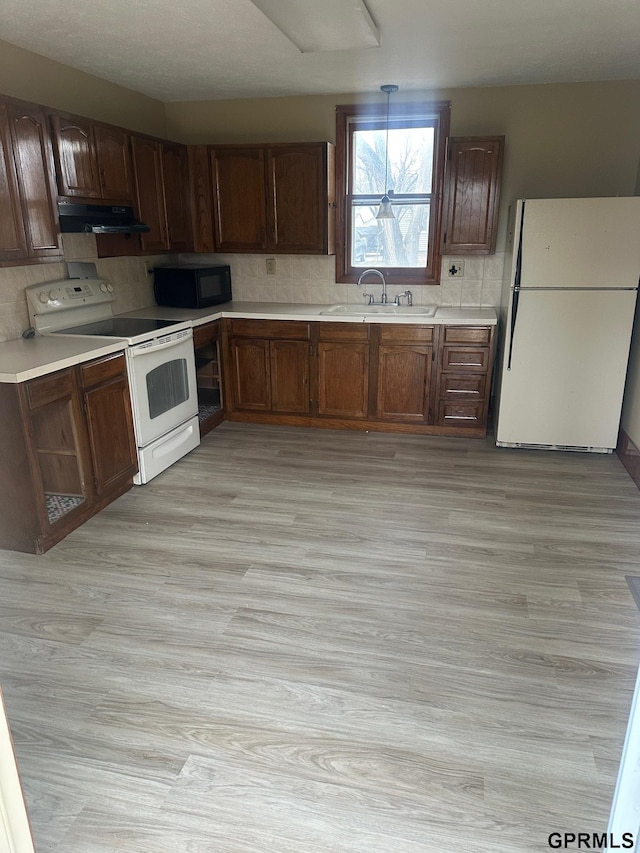 kitchen with tasteful backsplash, sink, light hardwood / wood-style floors, and white appliances