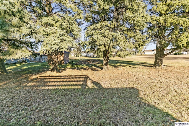 view of yard featuring a shed