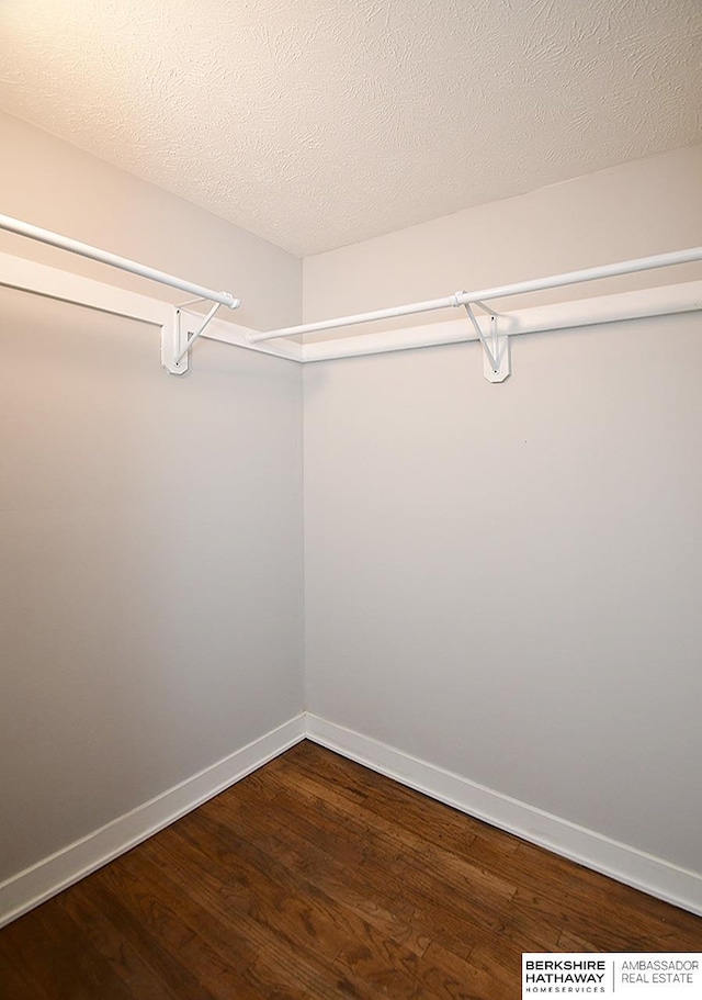 spacious closet with hardwood / wood-style flooring