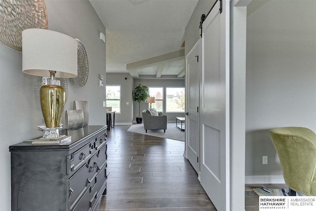 hallway featuring a barn door and dark hardwood / wood-style flooring