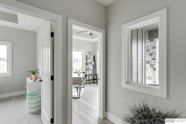 hall featuring light hardwood / wood-style flooring