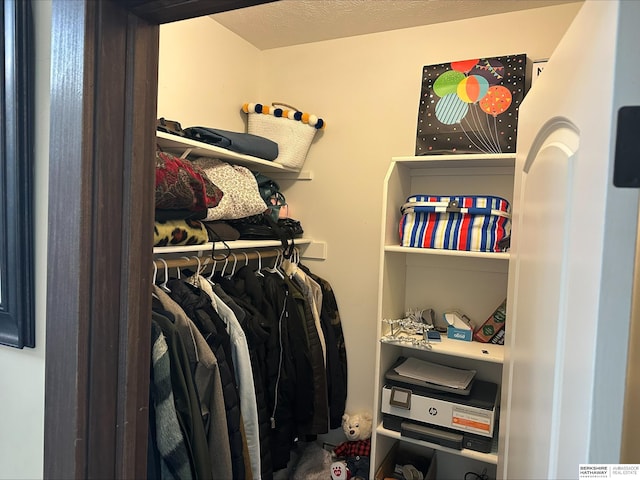 view of spacious closet