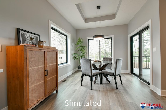 dining room with hardwood / wood-style flooring and a tray ceiling