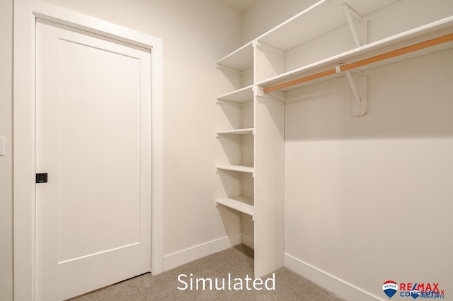 walk in closet with carpet flooring