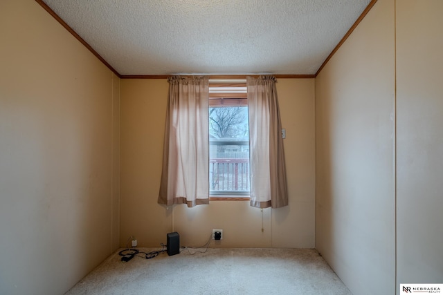 unfurnished room with carpet flooring and a textured ceiling