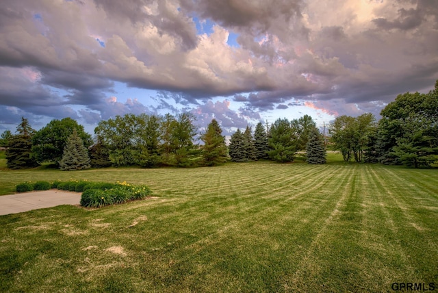 view of yard at dusk