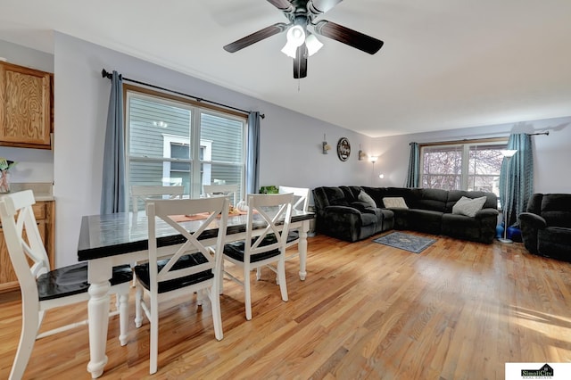 dining area with ceiling fan and light wood-type flooring