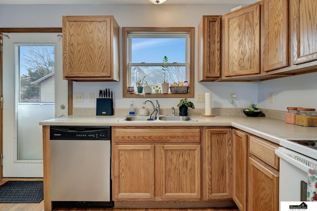 kitchen featuring stove, stainless steel dishwasher, and sink