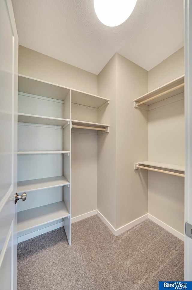 spacious closet featuring carpet floors