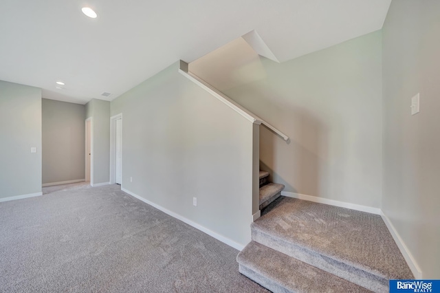 staircase featuring carpet floors