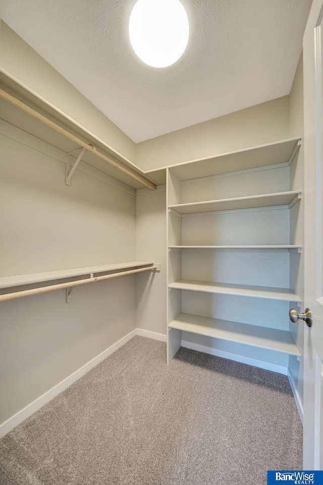 walk in closet featuring carpet floors