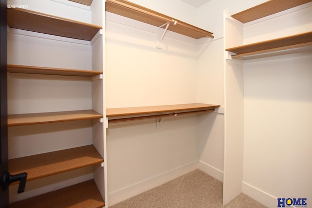 walk in closet with carpet floors