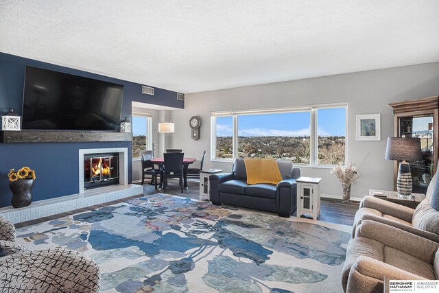 living room featuring hardwood / wood-style flooring and a textured ceiling