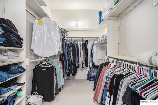 walk in closet featuring light colored carpet