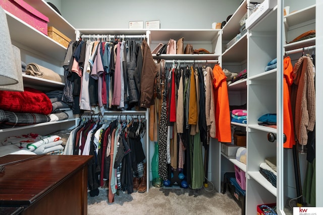 spacious closet featuring light colored carpet