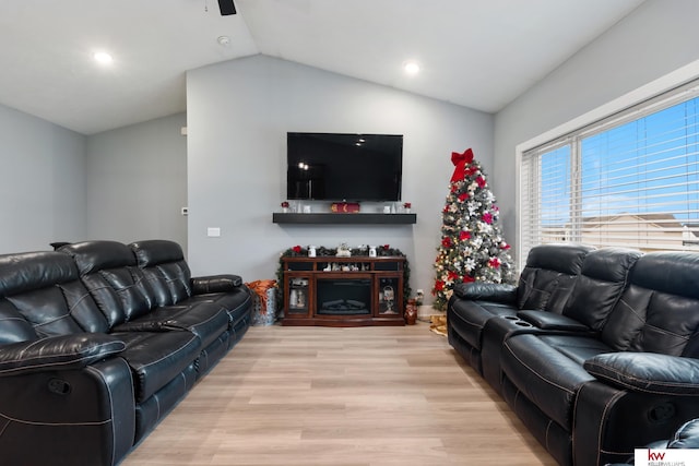 living room featuring lofted ceiling and light wood-type flooring